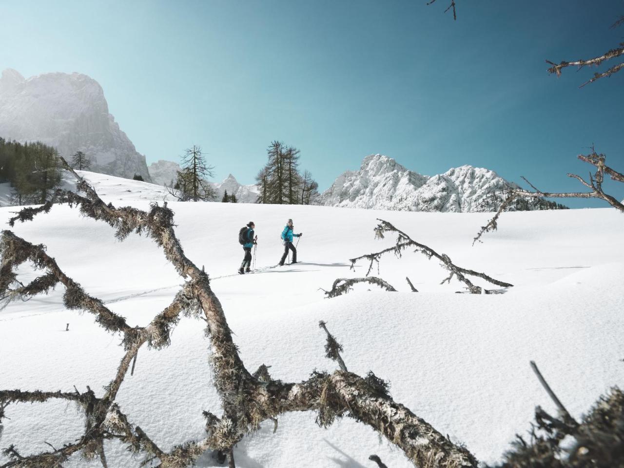 Alpengasthof Pichler Sankt Veit in Defereggen Exteriér fotografie